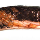 This eastern racer with SFD is exhibiting several abnormalities, including an opaque infected eye, roughened crusty scales on the chin, and several discolored roughened scales on the side of neck. (Image: USGS National Wildlife Health Center/D.E. Green)